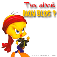 titi lache t es comm's